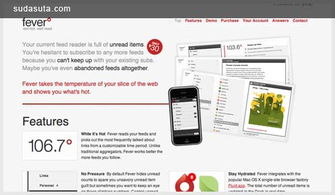 30個(gè)可愛的網(wǎng)頁設(shè)計(jì)與排版設(shè)計(jì)欣賞 技術(shù)與美學(xué)的完美融合